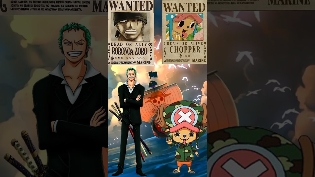Zoro & Chopper Bounty Evolution 