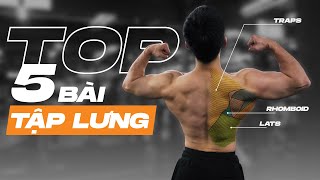 TOP 5 bài tập LƯNG yêu thích của mình (GIVEAWAY MỚI) | My Favourite Back Exercises | SHINPHAMM