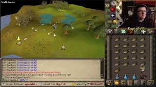 Chompy Chick Pet Reaction  Iron Captain