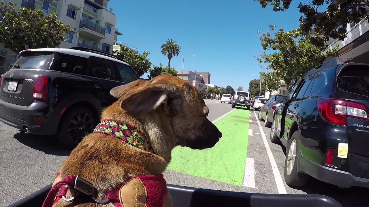 Almost Getting Doored while cycling on Broadway Street in Santa Monica