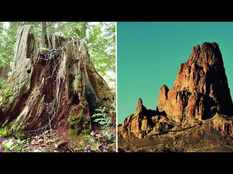 Video: Devil's Tower - Un Fragment Dintr-un Copac Antic - Vedere Alternativă