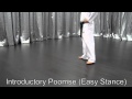 Introductory Poomse (Easy Stance)