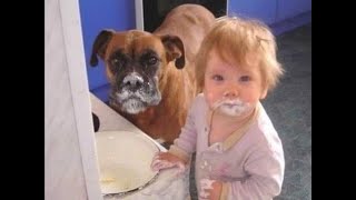 🐕 We got caught! 😺 Videos of funny cats and dogs for a good mood! 😺