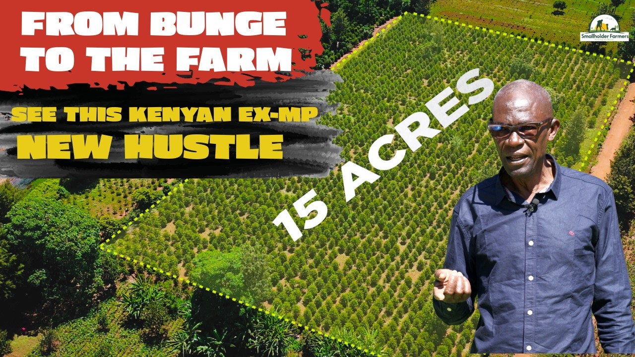 Former MP Dr. David Eseli Shares Smart Tips on Coffee, Avocado & Sugarcane Farming