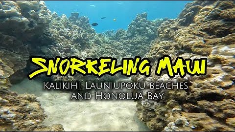 Snorkeling Maui 2025
