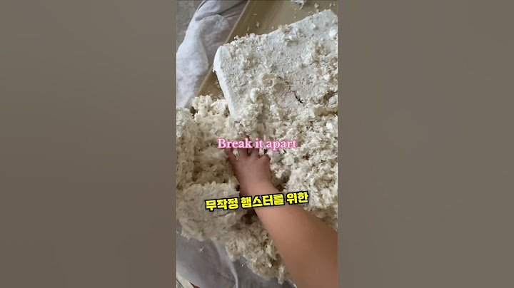 귀여운 햄스터 집 만들어주기