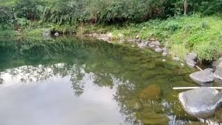 kedung nila karangsalam baturaden