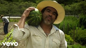 D.Willz - Watermelon