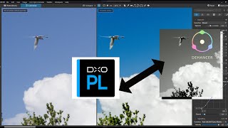 DXO PhotoLab 7   Dehancer Online Photo Workflow For Perfect Photo with Filmlook.