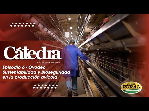 Cátedra Avícola - Episodio 6 - Ovodec Sustentabilidad y Bioseguridaden la producción avícola