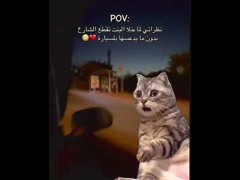 اكسبلور اكسبلور كومنت كومنت رهف ترند مريم ميمز
