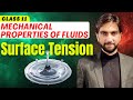 Surface Tension Class 11 | Mechanical Properties of Fluids Class 11