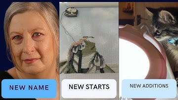 Stitching Update: June 2022 #flosstube 17