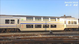 横須賀線 E217系Y-48編成 ｸﾞﾘｰﾝ車含む4両は廃車置き場に留置される！2021.2.7 panasd 2183