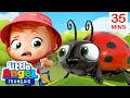 Apprendre les insectes avec Bébé Louis🐌🐛🐞Comptines pour Bébé | Little Angel Français