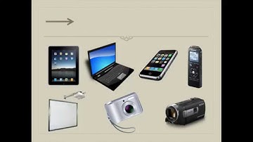 Cross-curricular teaching in Science and English