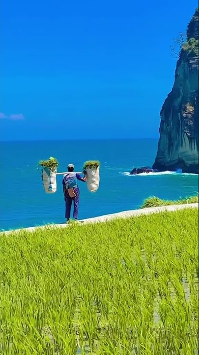 Pemandangan Indah | Masyaallah seperti lukisan #shorts