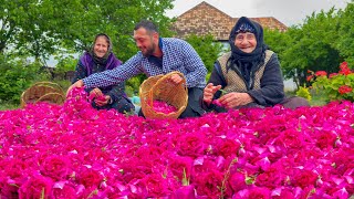 THE TREASURE OF ROSE FLOWER: Making Rose Water In Village | Healthy Recipes For All Seasons