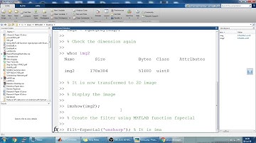 Filtering a Region of Interest ROI in a grayscale image