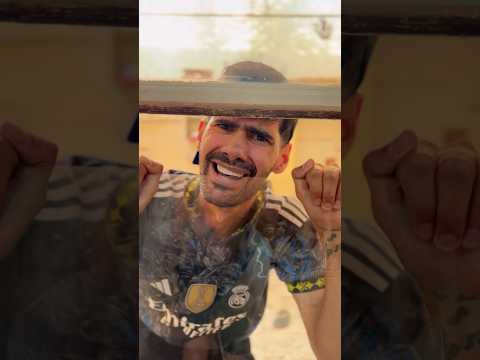 لاله باردار شد