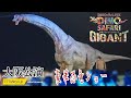 【恐竜ショー】ディノサファリギガント大阪公演2023🦖最強対決ティラノサウルスvsギガノトサウルス🦕アンキロサウルス&ブラキオサウルス&トリケラトプス豪華共演✨ASUEアリーナ Dino Safari