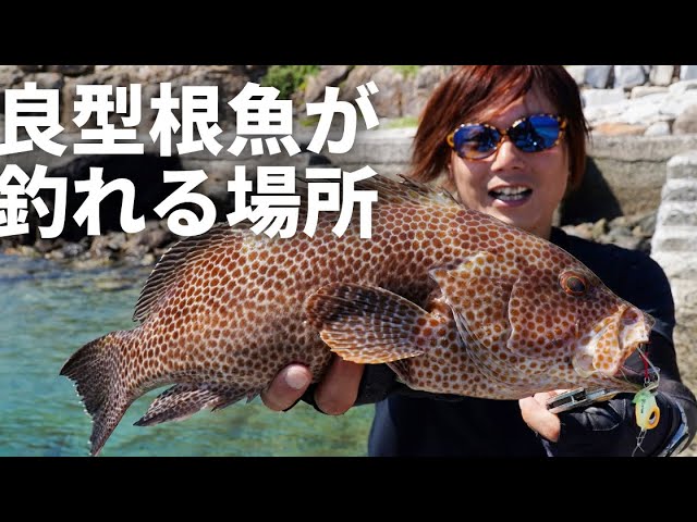 ロックフィッシュ初心者へ！根魚の釣り方を、実釣しながら説明します