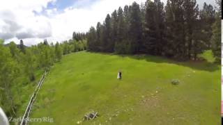Drone filming the wedding and crashed into a tree   Дрон снимал свадьбу и врезался в дерево