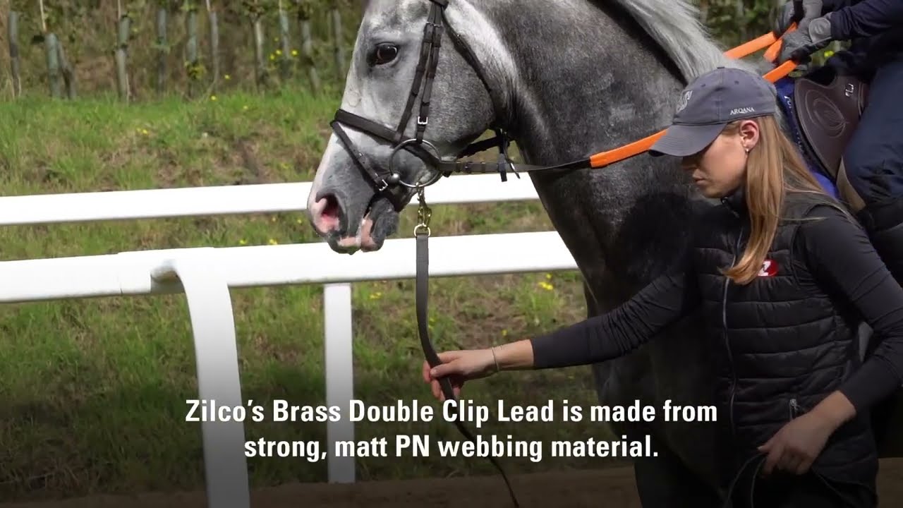 Zilco Brass Double Clip Lead