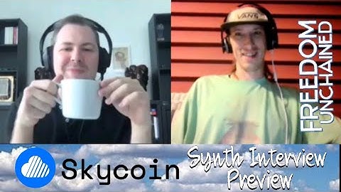 Preview Interview with Synth From Skycoin