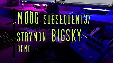 Reverb Heaven!! ❤  strymon BigSky - Moog Subsequent37 - Ambient Duophonic Synthesizer Demo