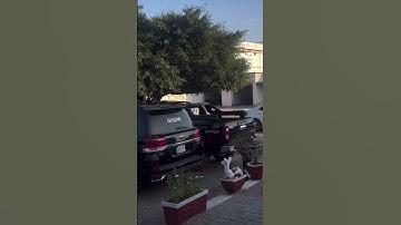 Gujjar🦁 #gujjar #gurjar #gujjarsamaj #gurjarsamaj #gurjarsamratmihirbhoj  #gurjarsong #shorts #video