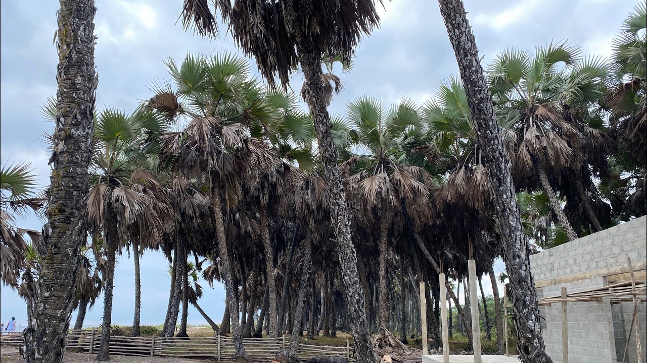 POINTE NOIRE - MUKIWA BEACH (DJENO) 🇨🇬