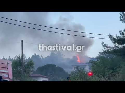 Thestival.gr Αναζωπύρωση στη φωτιά στη Λητη Ωραιοκάστρου