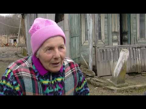 სამეგრელოში დიდთოვლობის შედეგად დზარალებულებს დახმარებას უწევენ