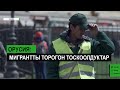 Орусия: Мигрантты торогон тоскоолдуктар