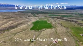 For Sale Twin Knob Hayfield in McAllister, MT