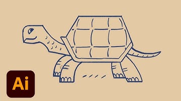 Draw Along with Kyle T. Webster - Tortoise | Adobe Creative Cloud