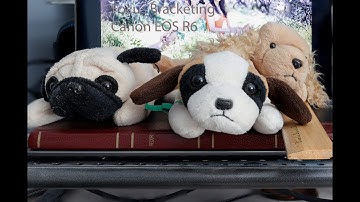 Canon EOS R6 - How To Set Up and Use Focus Bracketing