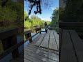 Check out the hiking trails at George LeStrange Preserve in Fort Pierce, Florida