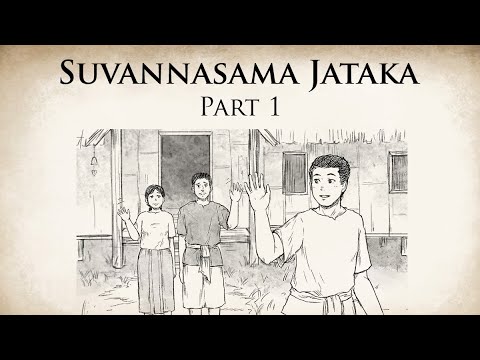 Le fils dvou  Suvannasama Jataka Partie 1  Histoires bouddhistes animes