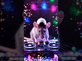 RAT DJ VERSI MATADORA (SANGAT LAMBAT)