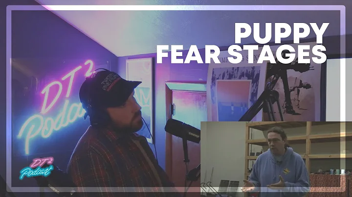 Learning About Puppy Fear Stages (Michael Ellis Reaction pt.1)