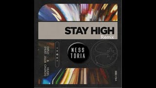 DIPLO & HUGEL - Stay High feat. Julia Church (Ness Toria Remix)