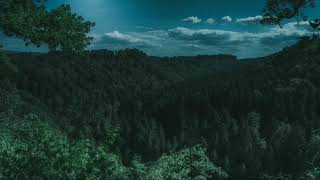 Susah tidur stel Suara hutan di malam hari jangkrik dan suara air