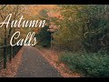 Autumn Calls