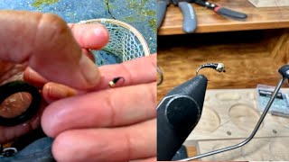 first trout on a fly i tied! brown rainbow brook trifecta! dry fly eat! bonus striper footage!