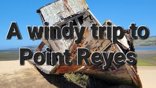 Taking a day trip to Point Reyes National Seashore in the wind. by Adventures with Angus 291 views 1 year ago 26 minutes