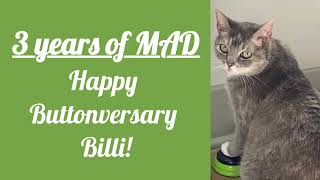 Three Years of Mad, Happy Buttonversary Billi! | BilliSpeaks