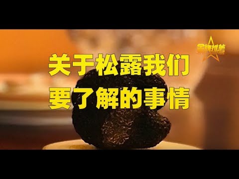 高大上的知识点！关于松露你了解多少？什么是松露/松露烹饪/松露料理/黑松露/松露怎么吃/松露挑选/白松露/松露料理菜单/松露保存方法/松露保鲜