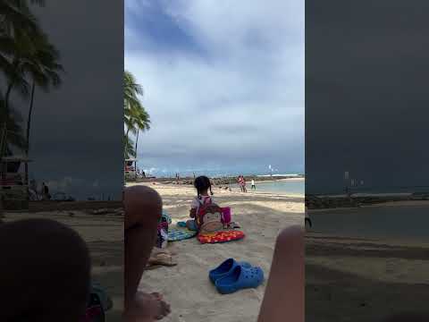 Video: Waikiki Beach gesinsvriendelike hotelle